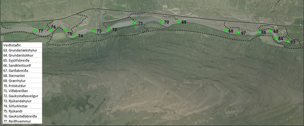 Hjardarhagabr_Reidhvammur